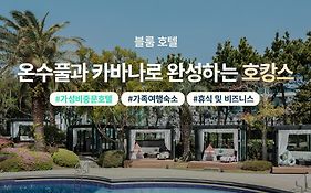 Bloom Hotel
